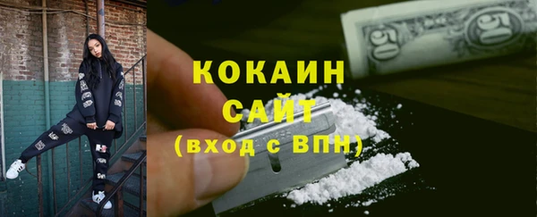 шишки Дмитров