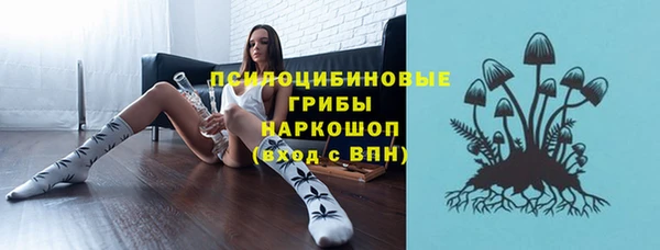 тгк Елизово