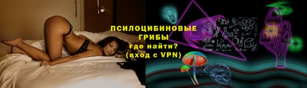 шишки Дмитров