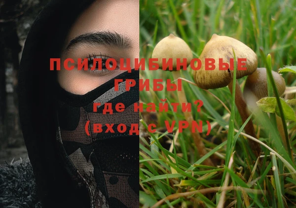 тгк Елизово