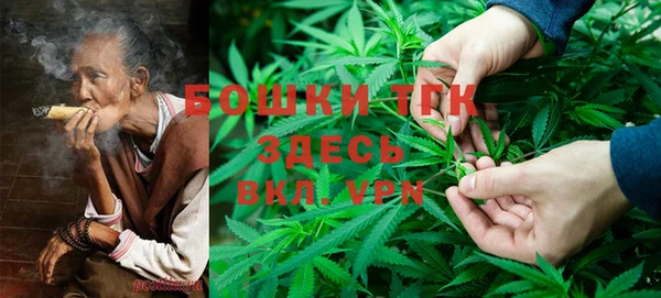 прущая мука Дмитриев