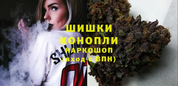 прущая мука Дмитриев