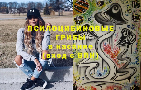 тгк Елизово