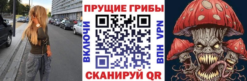 Галлюциногенные грибы MAGIC MUSHROOMS  Старица 
